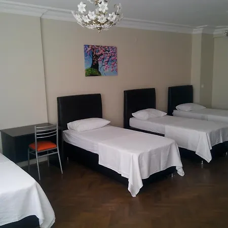 Apartment Ayasofya *